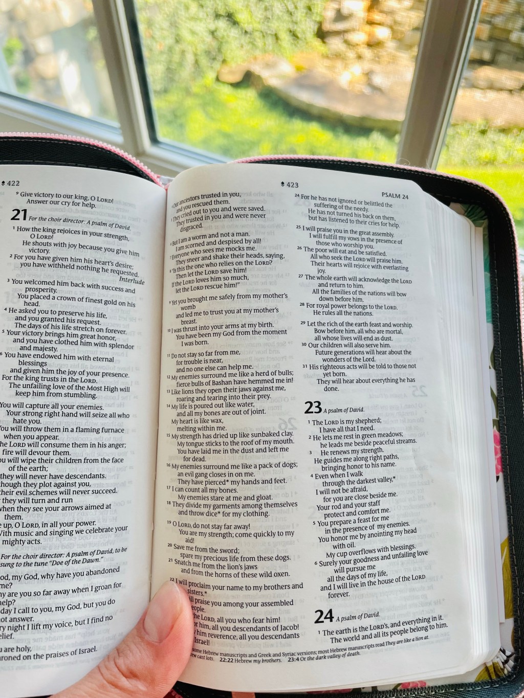 The Shepherd of Our Dark Valleys