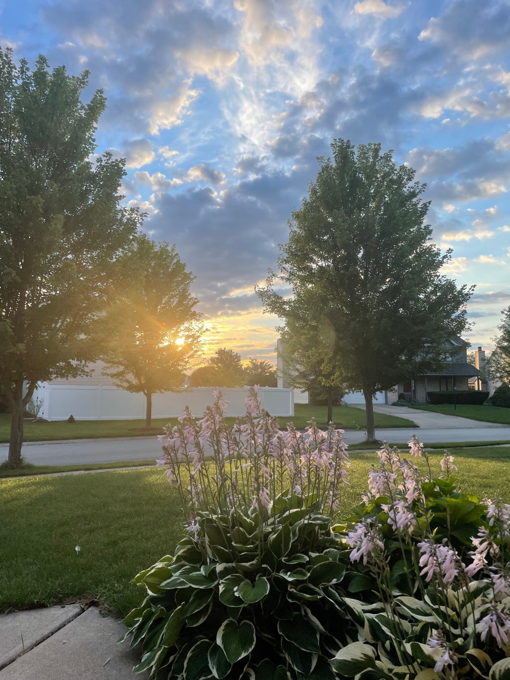 Good morning, anxiety…