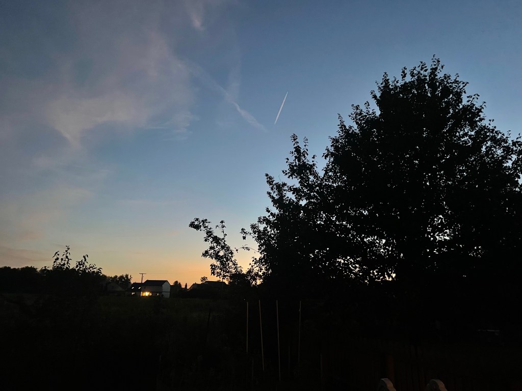 Silhouettes of Summer