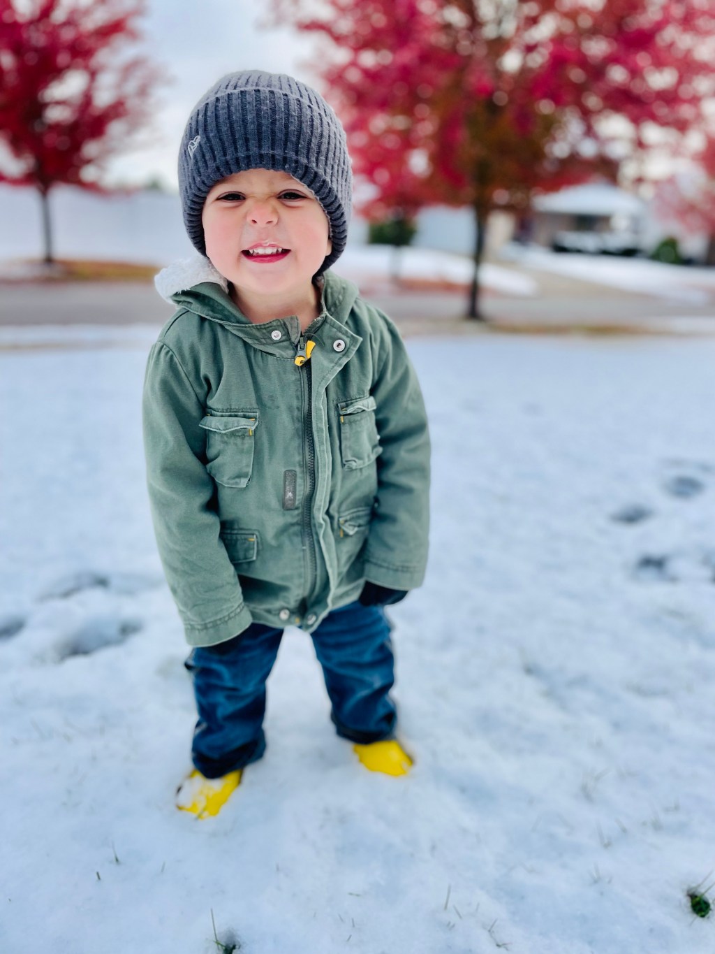 God’s Winter Provision