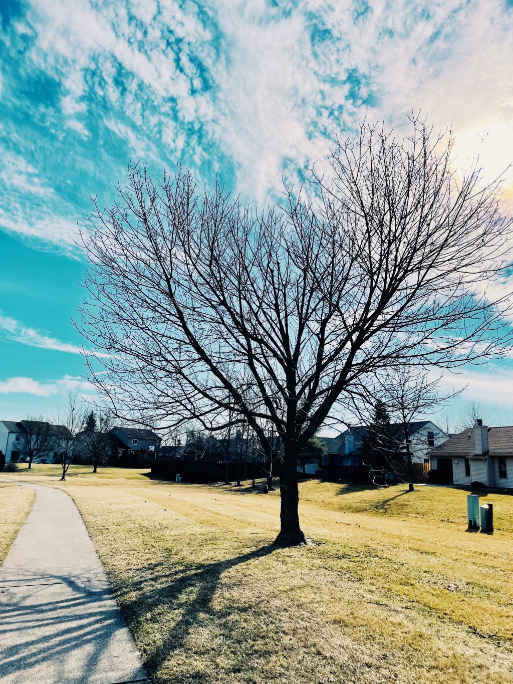 The Dawn of Spring: the Shepherd’s hope in our weariness