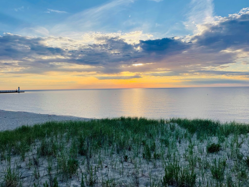 From Pressed to Praise